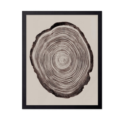 Tree Ring Pattern