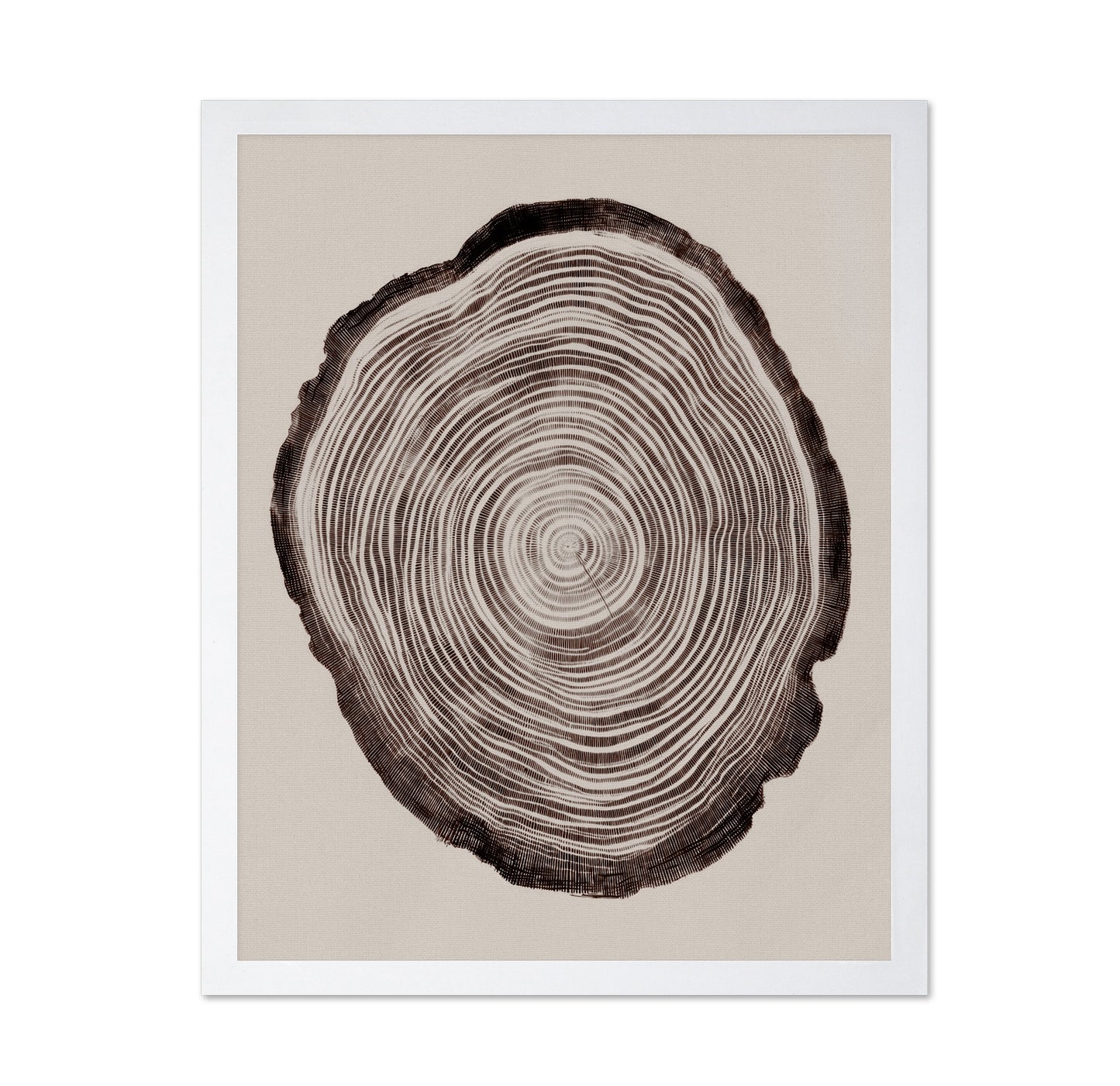 Tree Ring Pattern