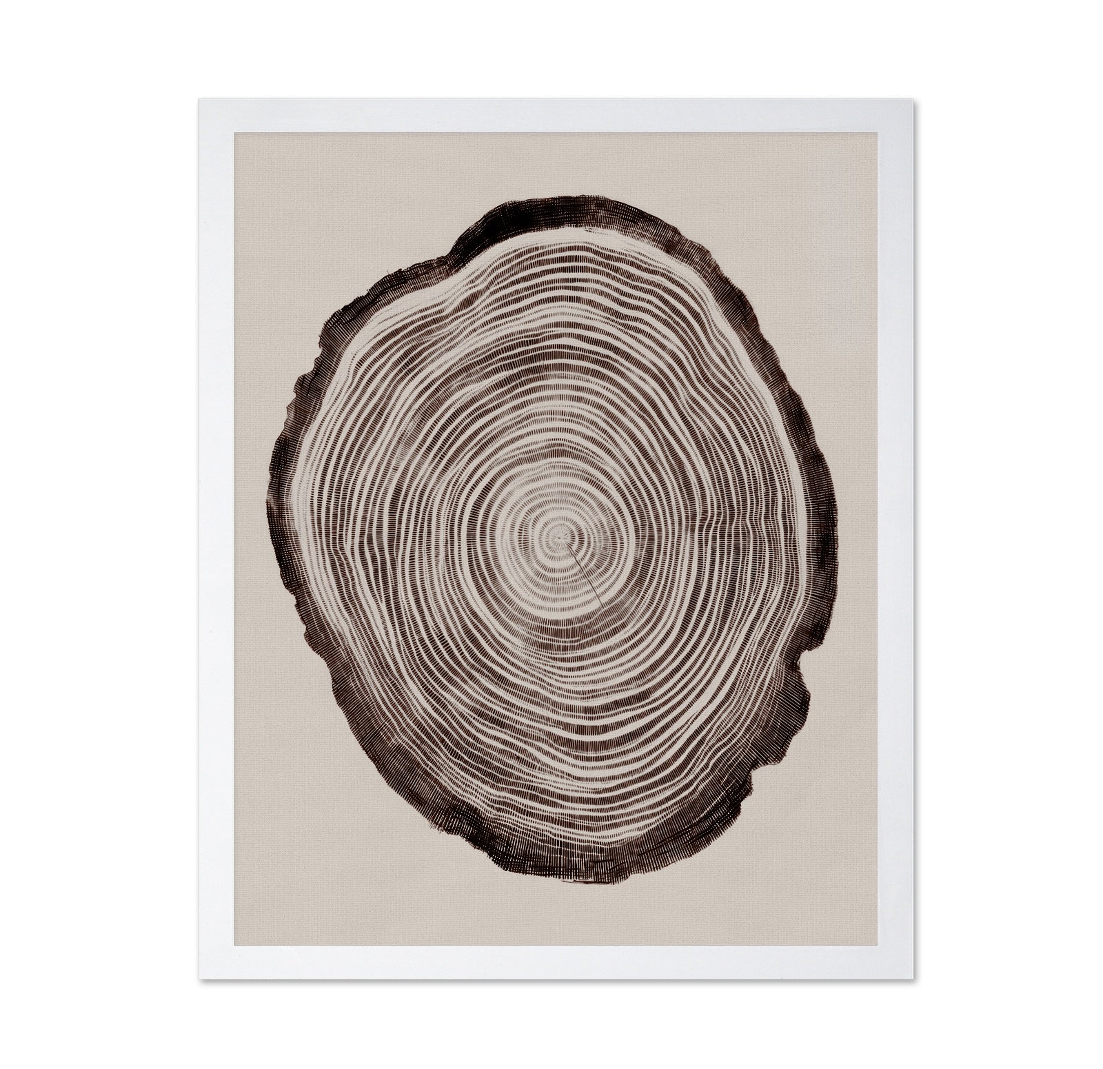 Tree Ring Pattern
