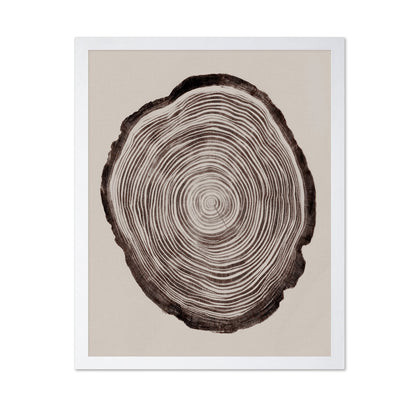 Tree Ring Pattern