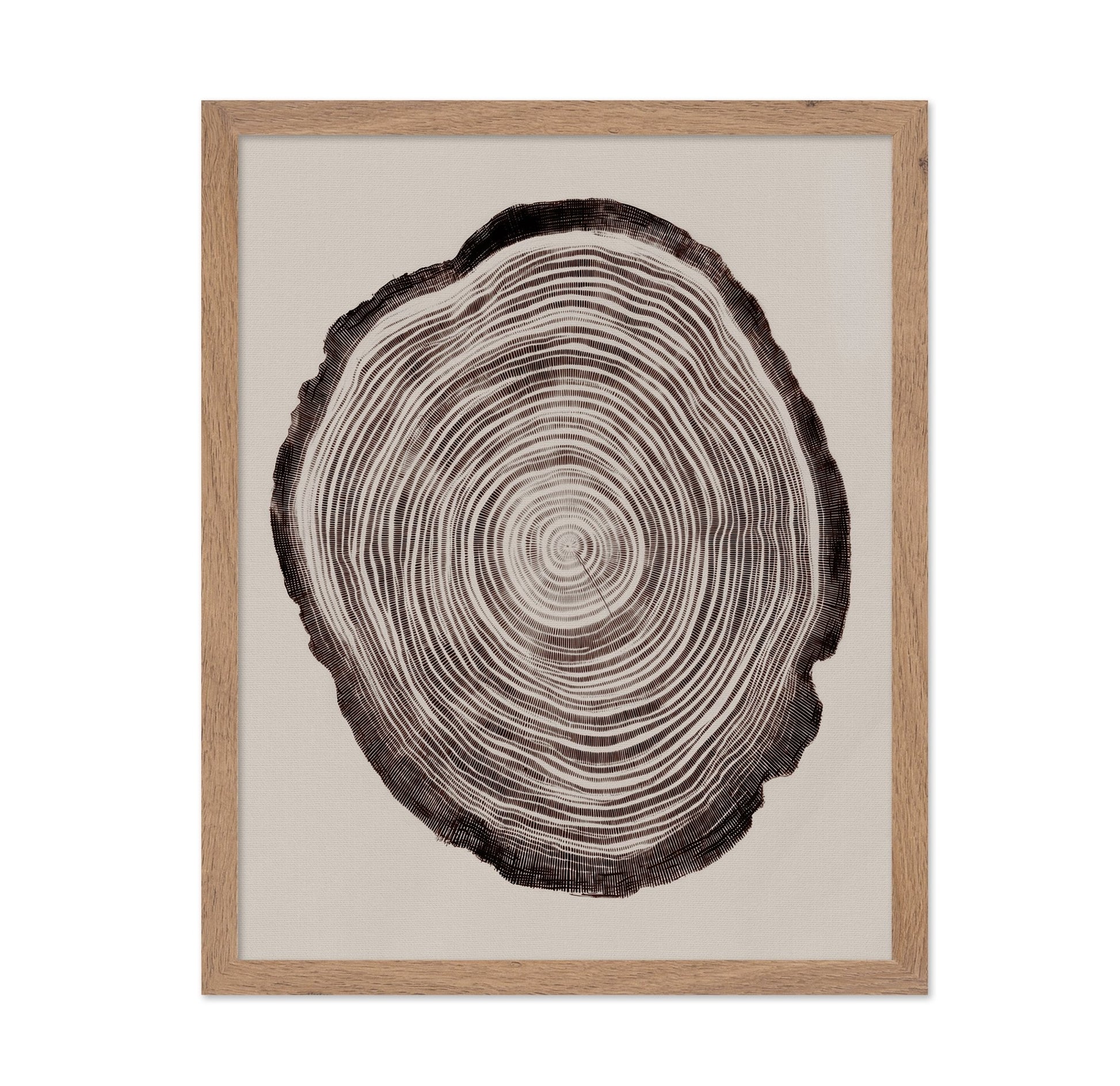 Tree Ring Pattern