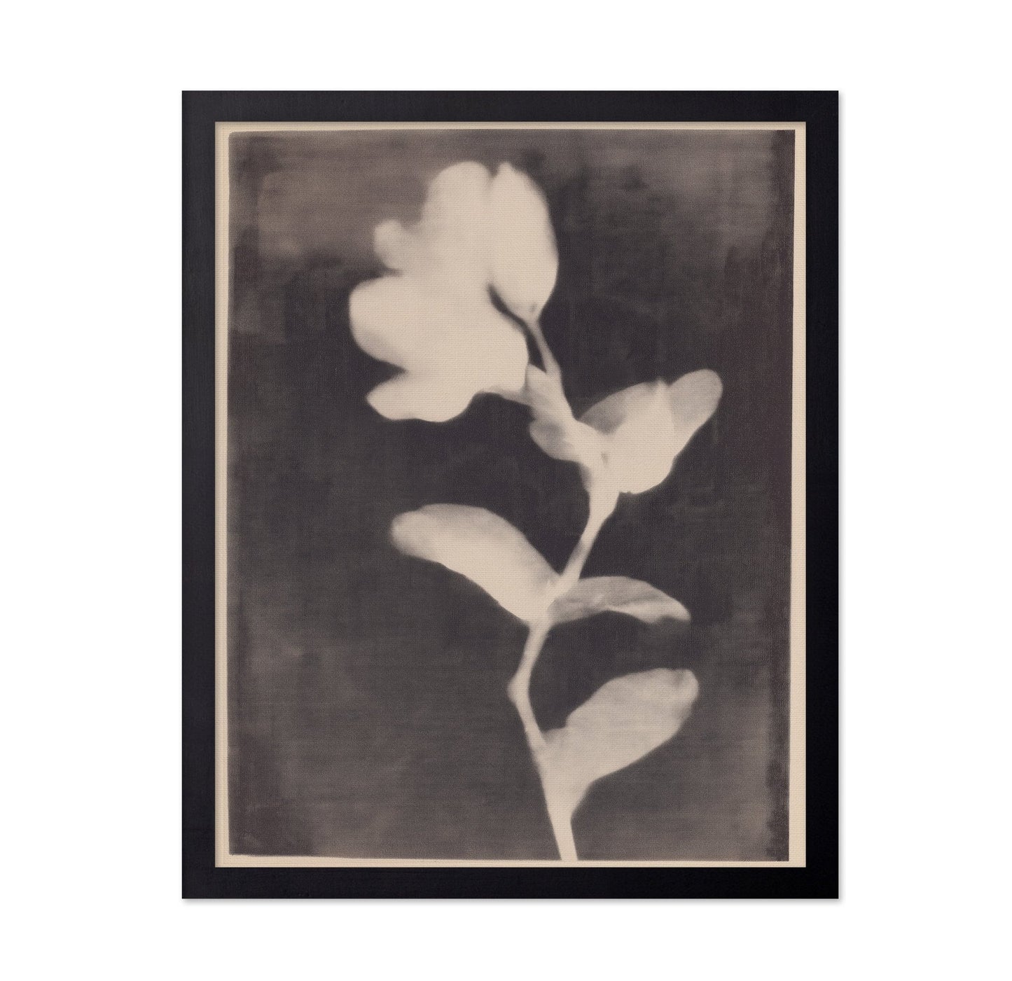 Vintage Floral Silhouette