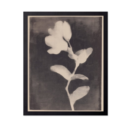 Vintage Floral Silhouette