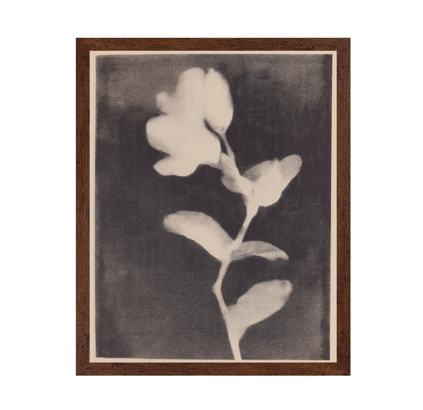 Vintage Floral Silhouette