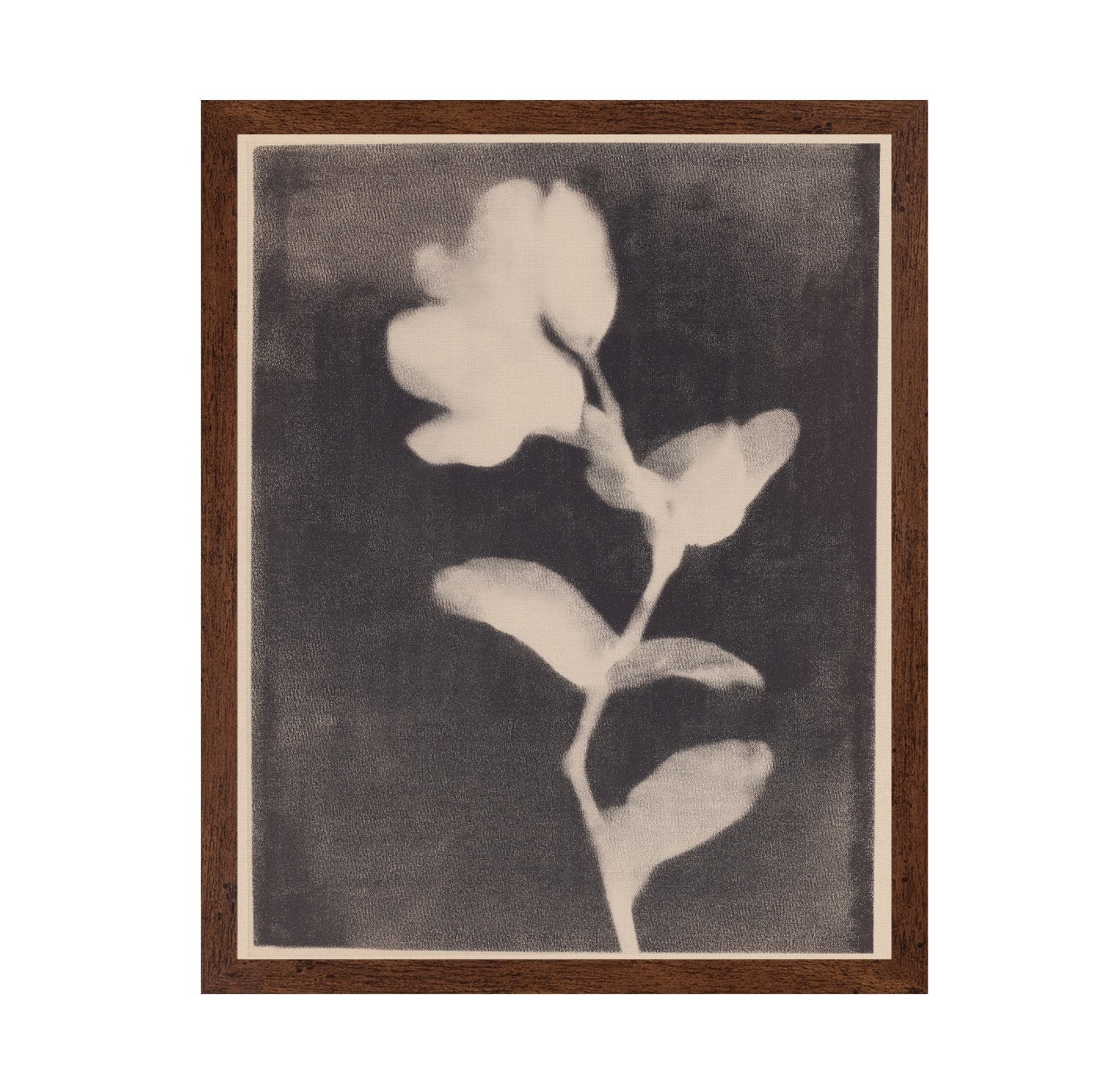 Vintage Floral Silhouette