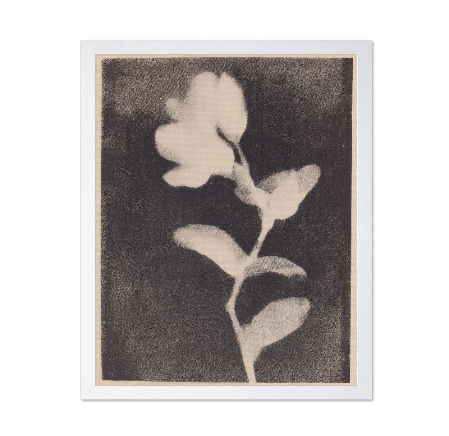 Vintage Floral Silhouette