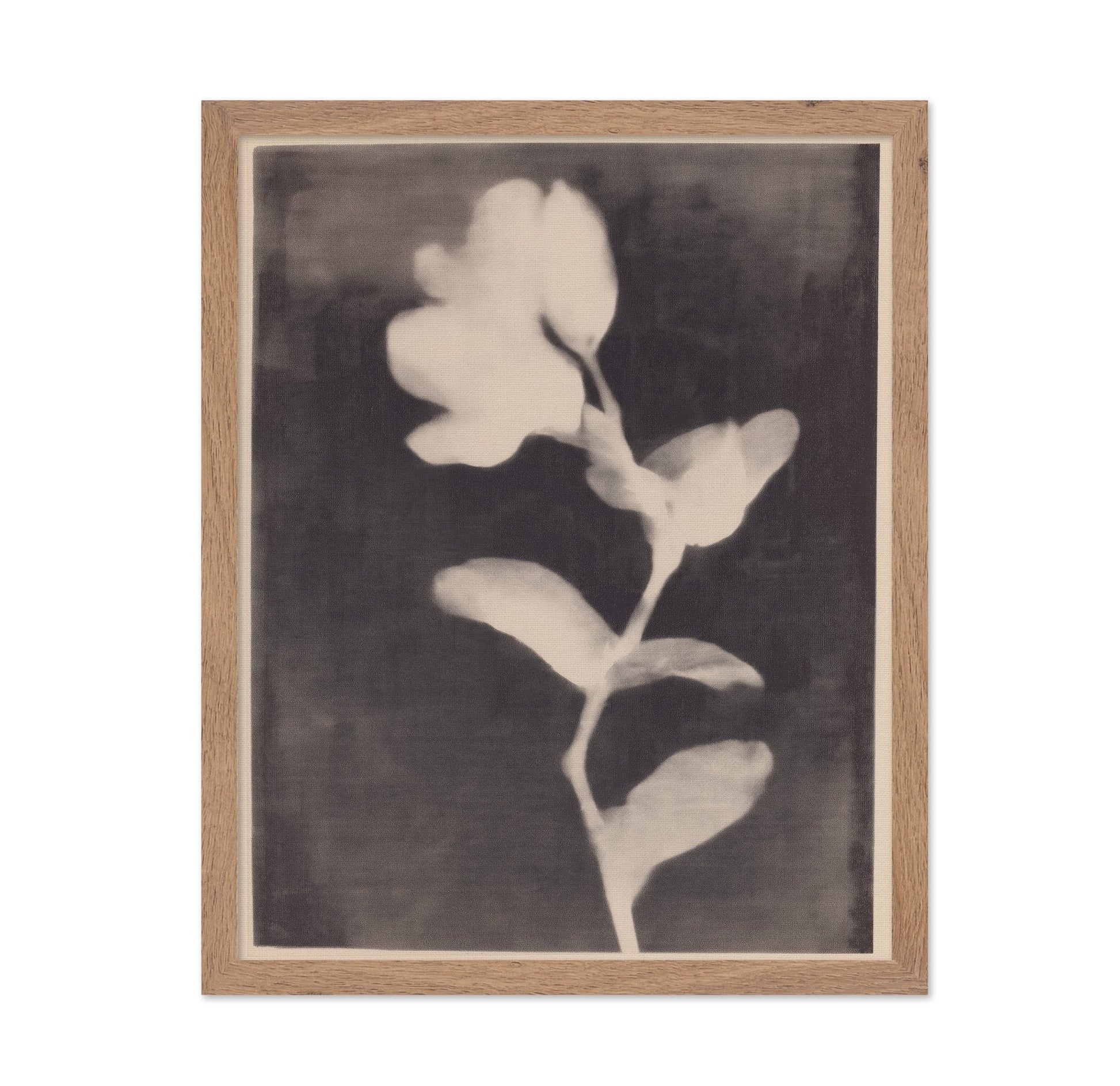 Vintage Floral Silhouette