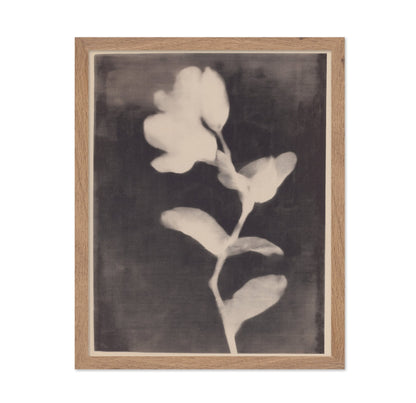 Vintage Floral Silhouette