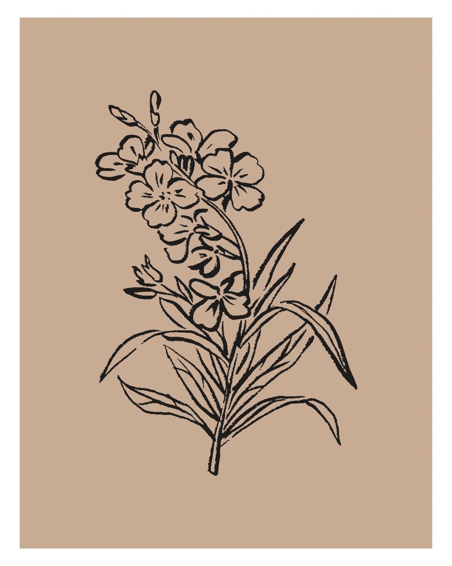 Vintage Floral Sketch No1