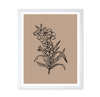 Vintage Floral Sketch No1