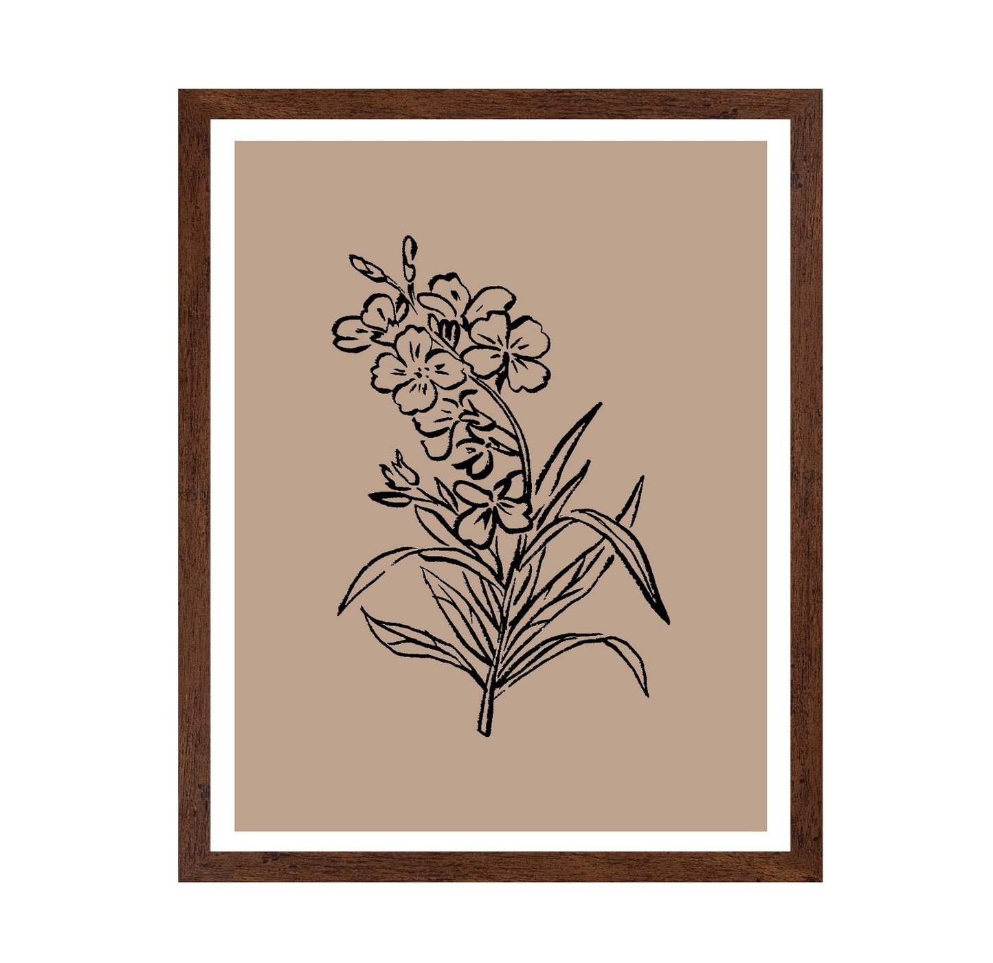 Vintage Floral Sketch No1