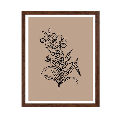 Vintage Floral Sketch No1