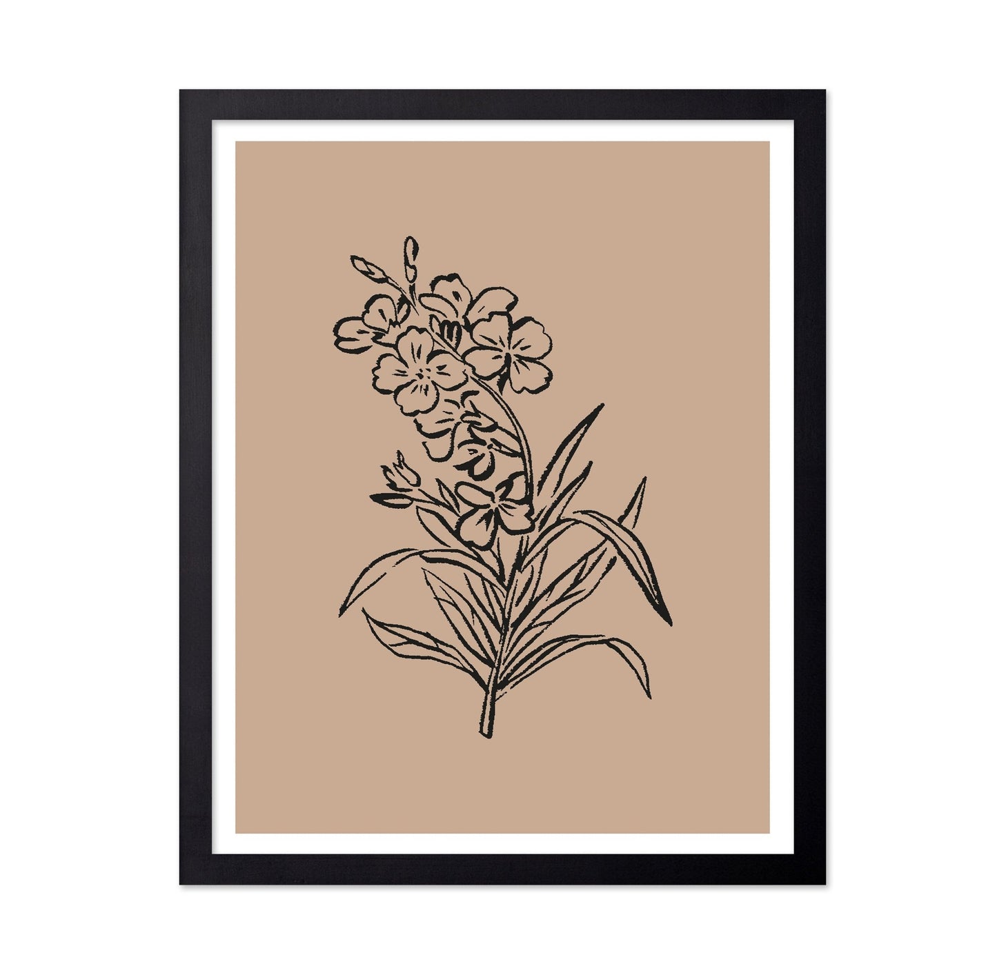 Vintage Floral Sketch No1