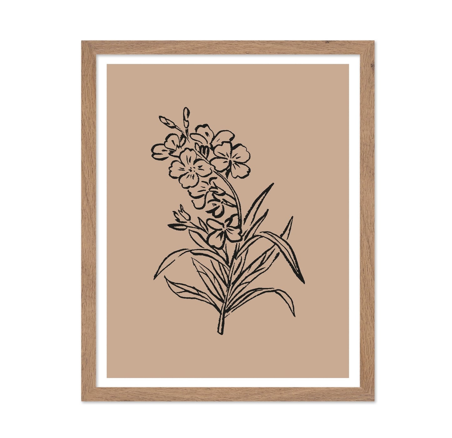 Vintage Floral Sketch No1