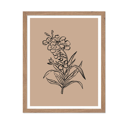 Vintage Floral Sketch No1