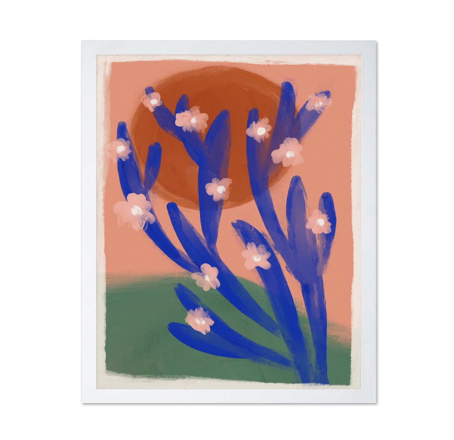 Desert Bloom Sun