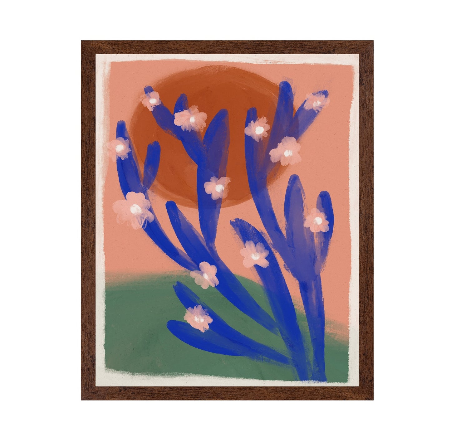 Desert Bloom Sun