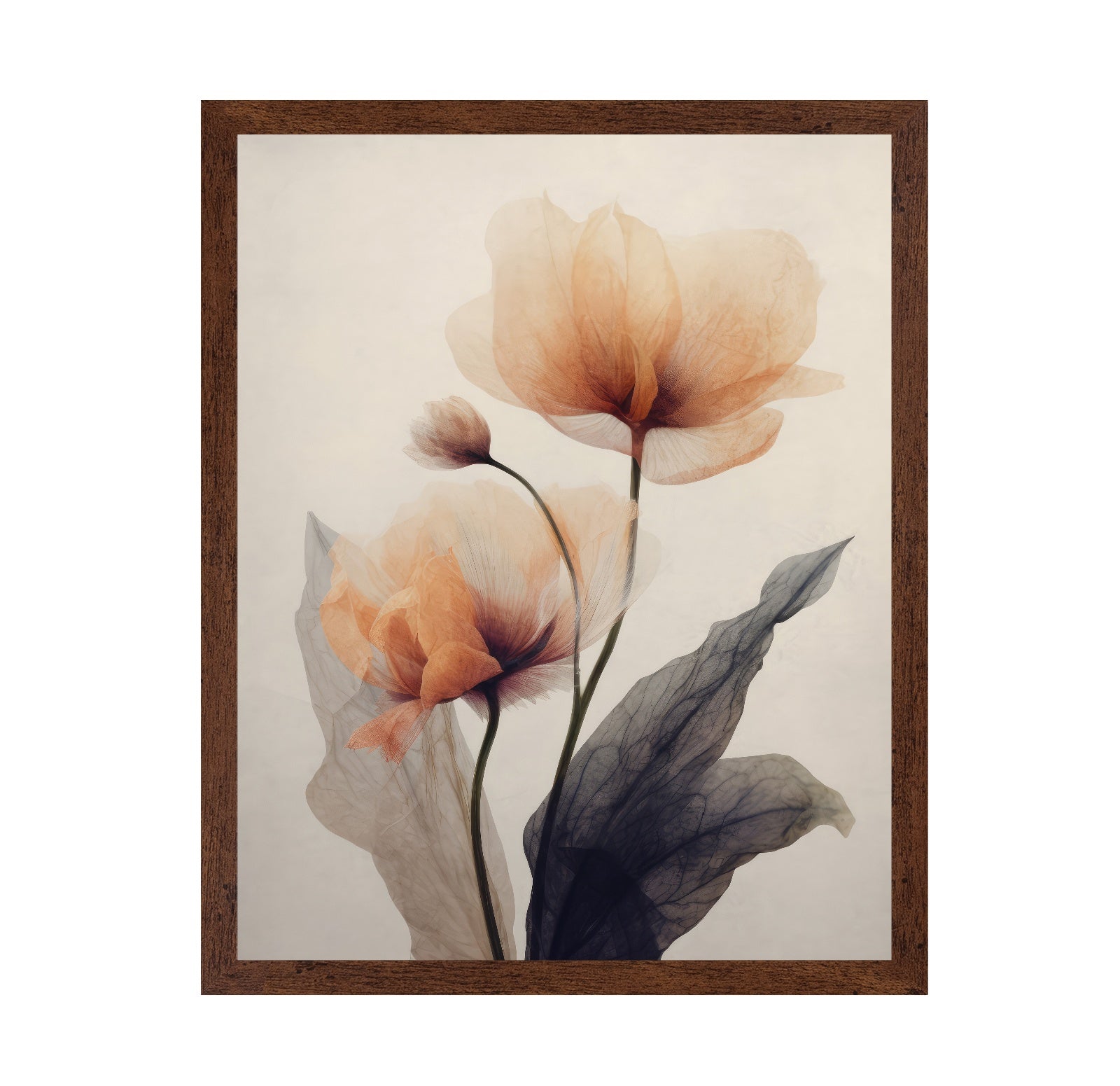 Soft Poppy Bloom No2