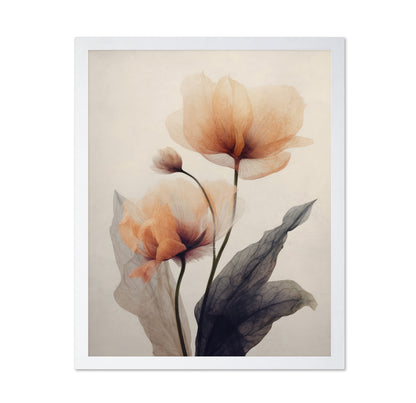 Soft Poppy Bloom No2