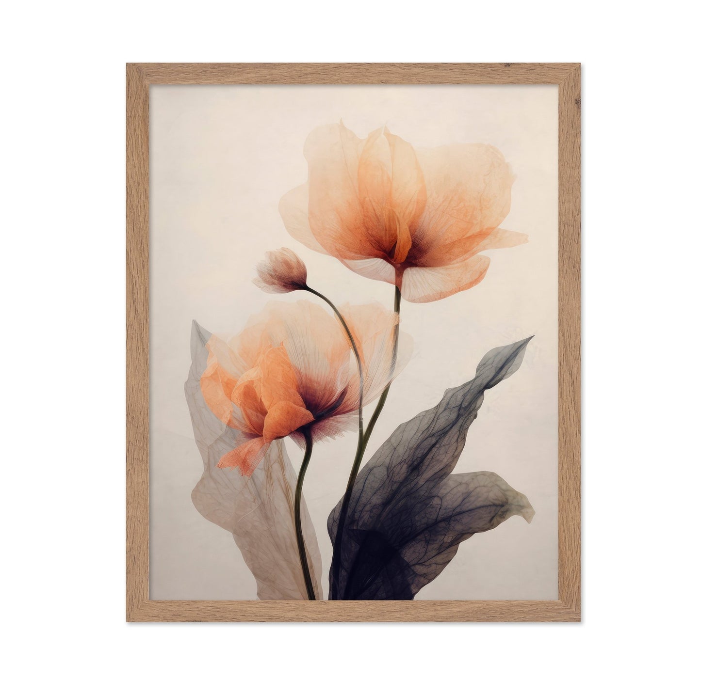 Soft Poppy Bloom No2