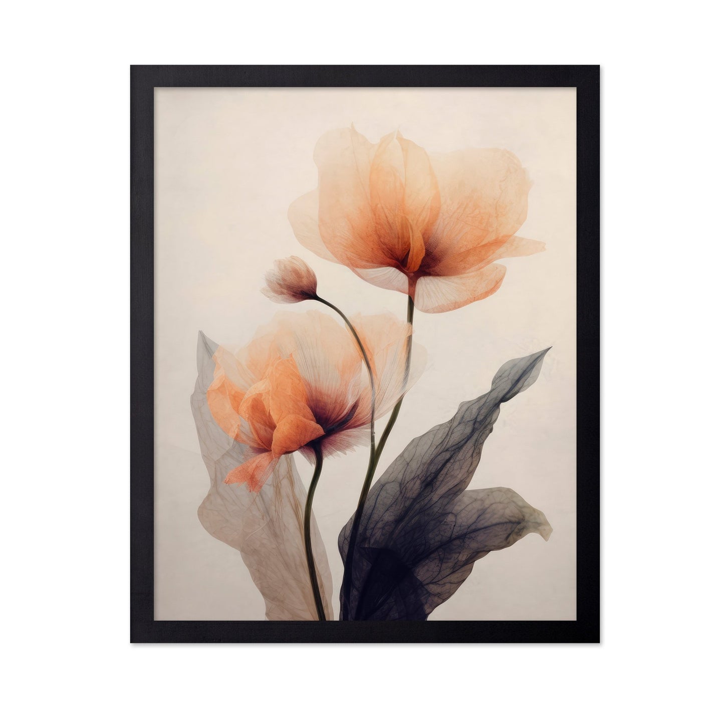 Soft Poppy Bloom No2