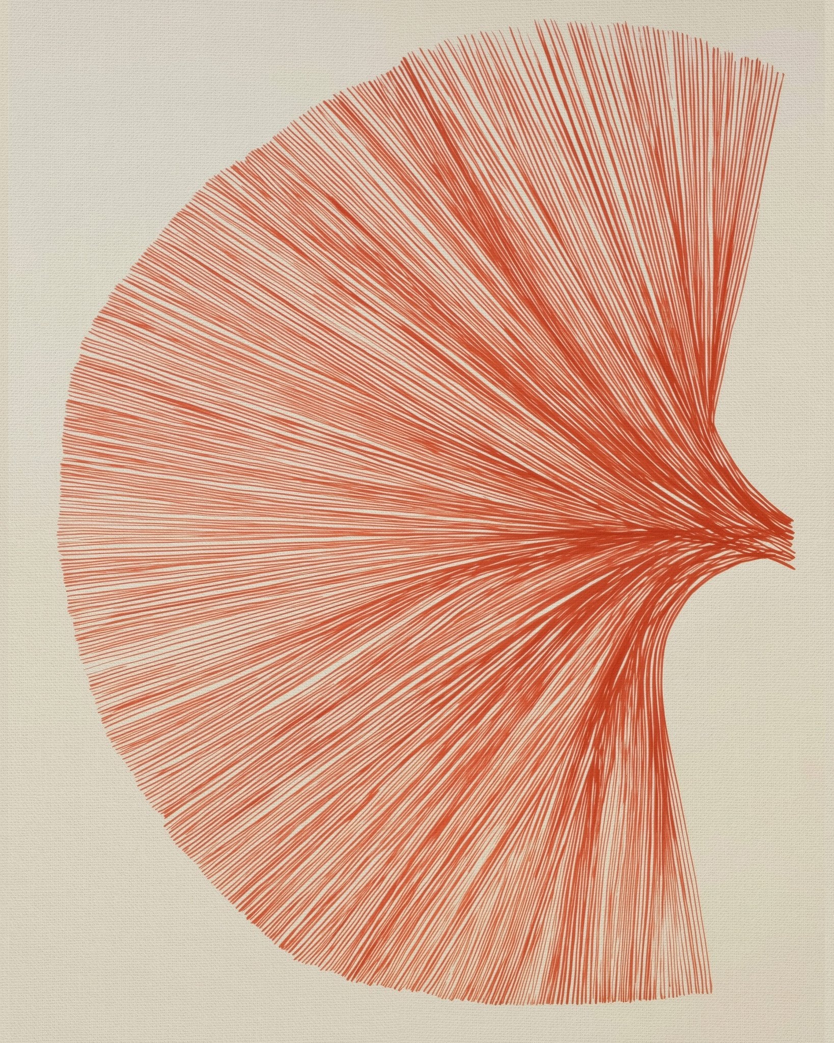 Radiant Line Bloom