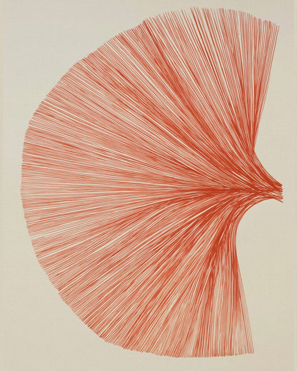 Radiant Line Bloom