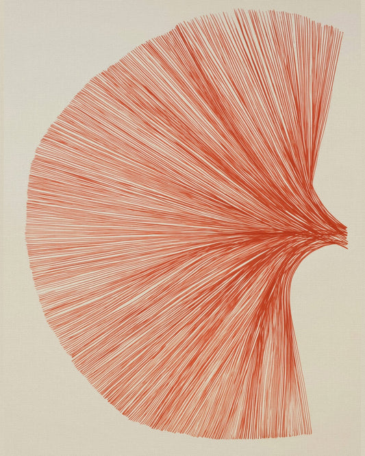Radiant Line Bloom