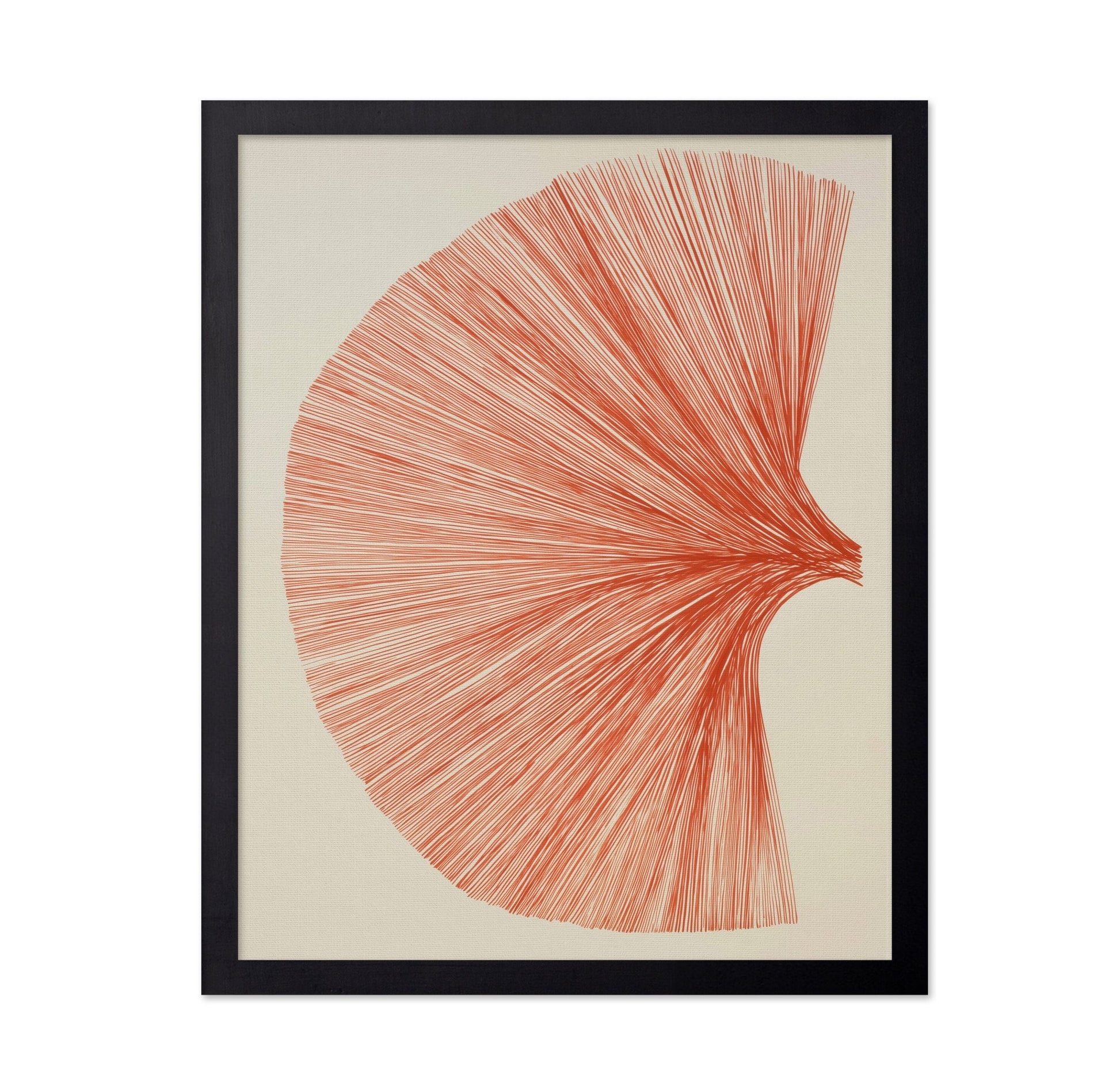 Radiant Line Bloom