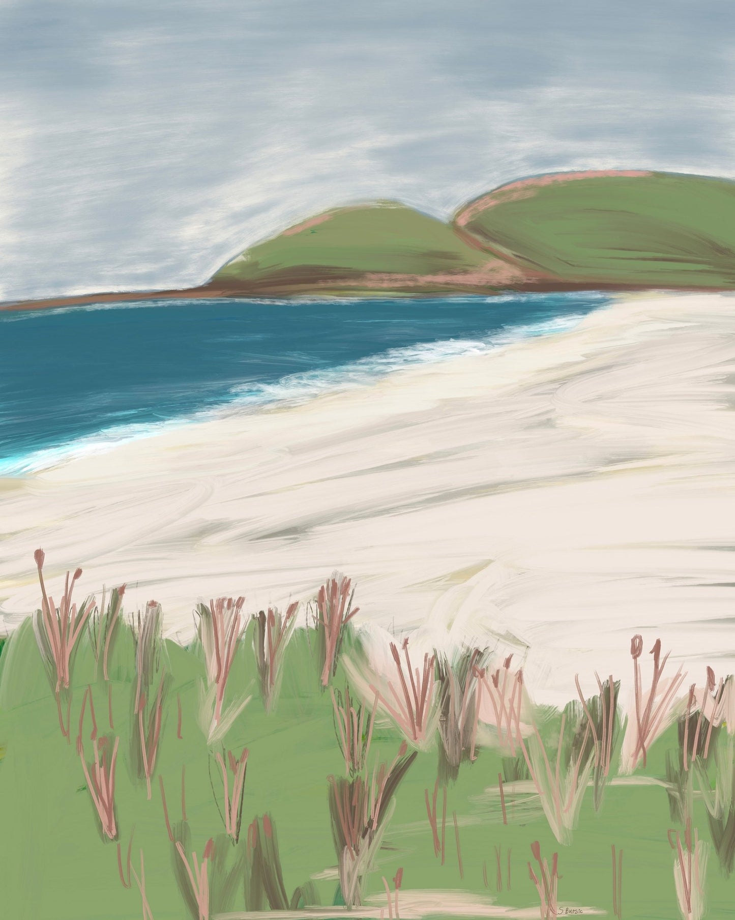 Coastal Hills Beach