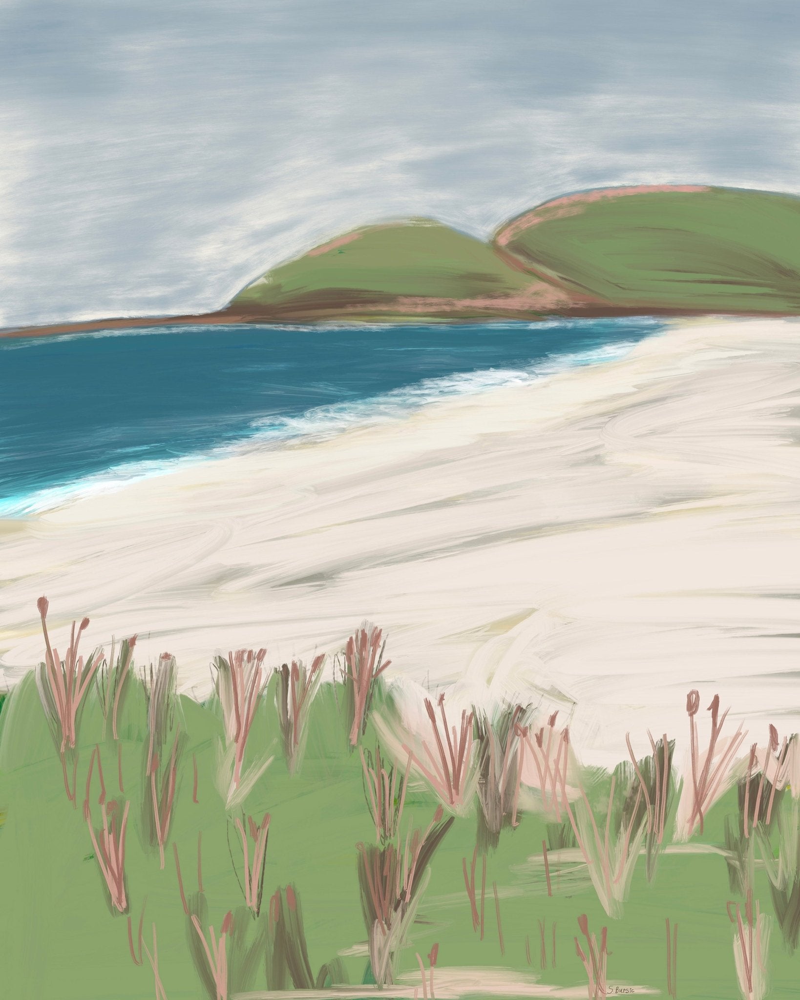 Coastal Hills Beach