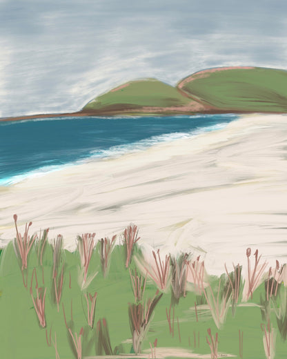 Coastal Hills Beach