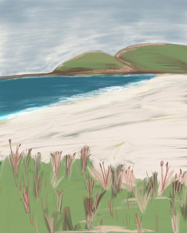Coastal Hills Beach
