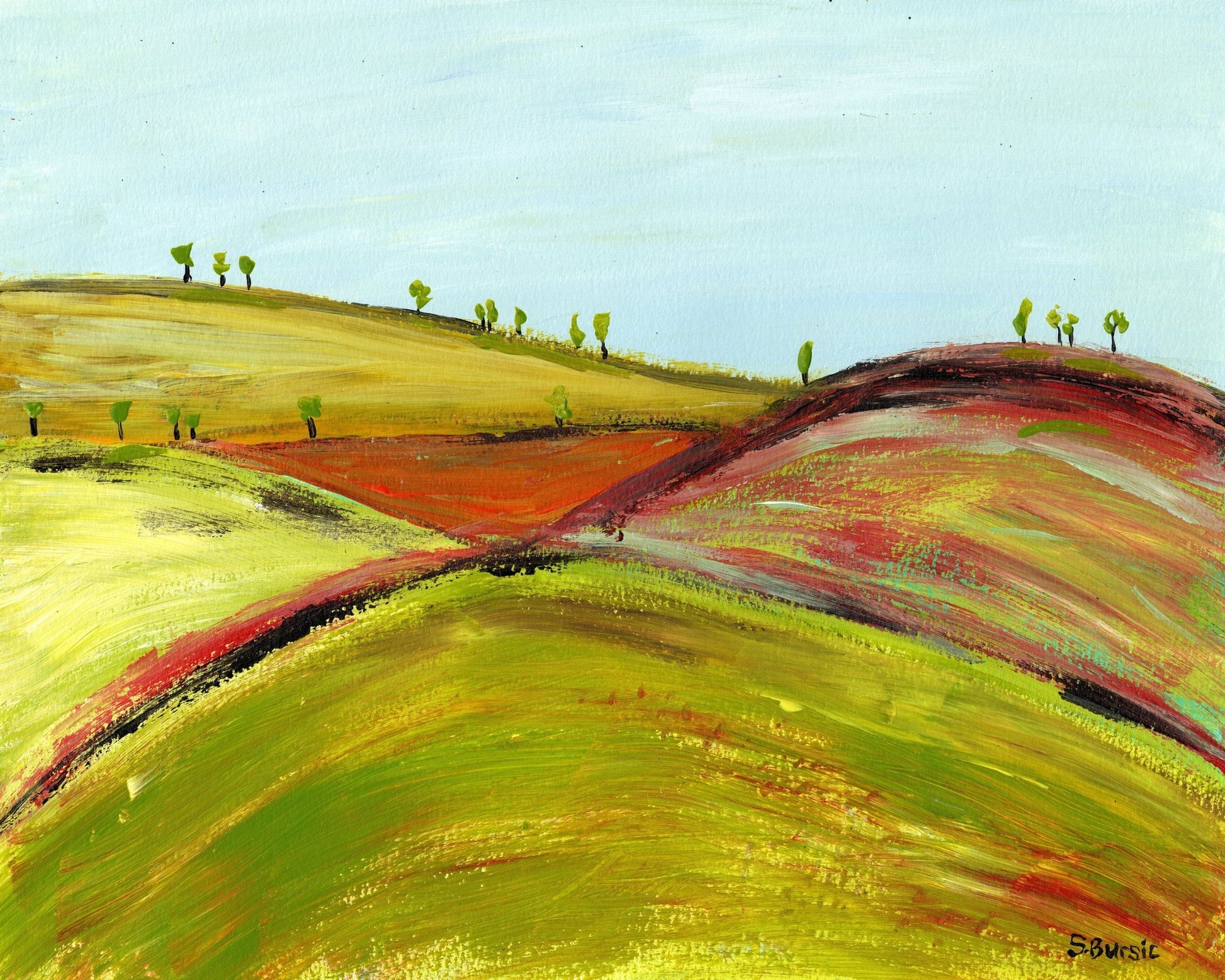 Rolling Color Hills