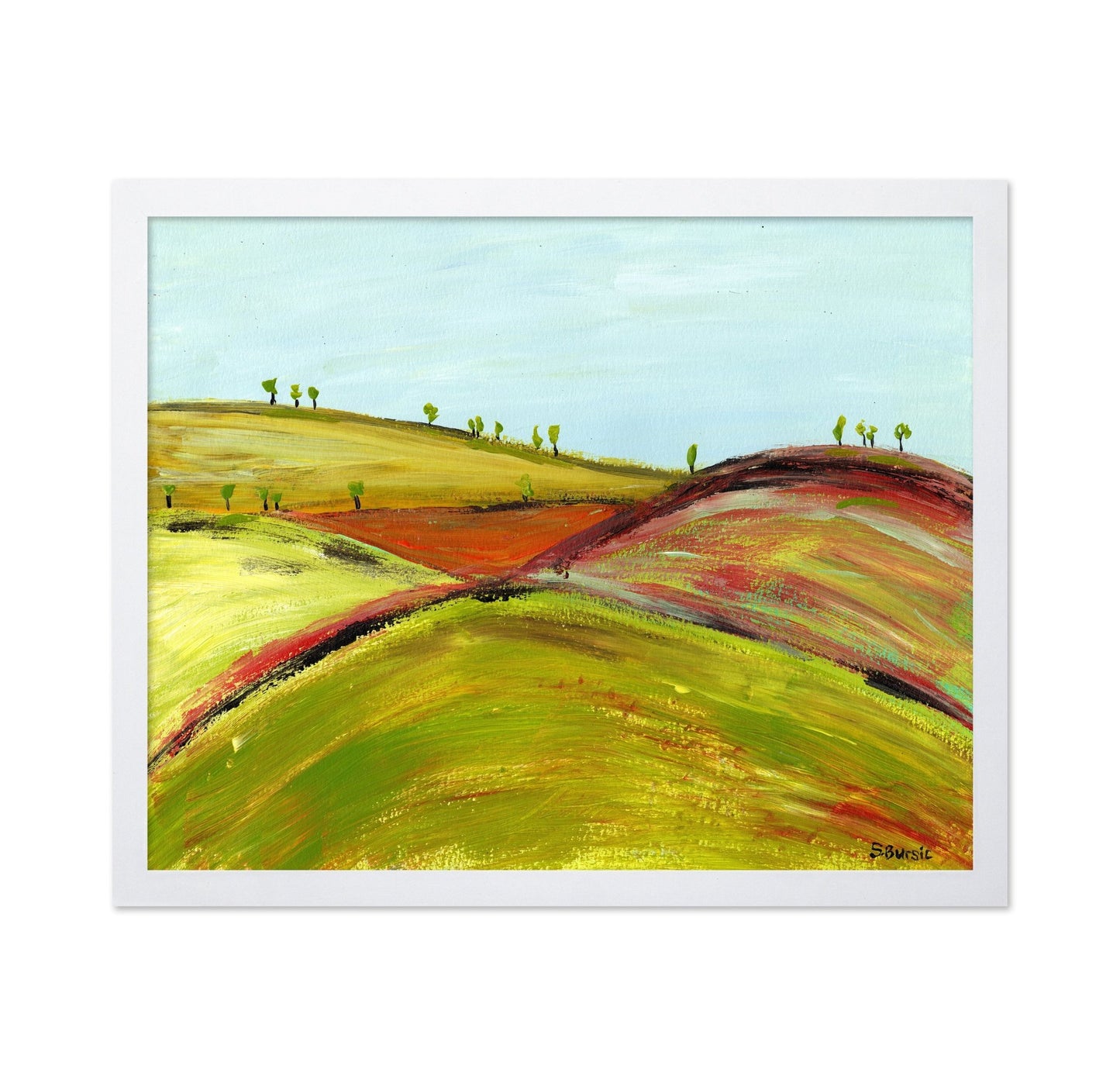 Rolling Color Hills