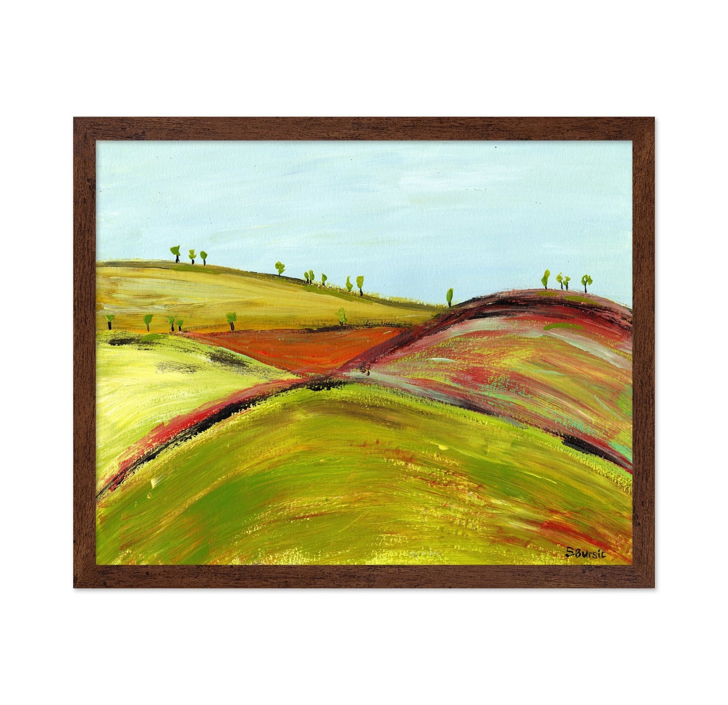 Rolling Color Hills