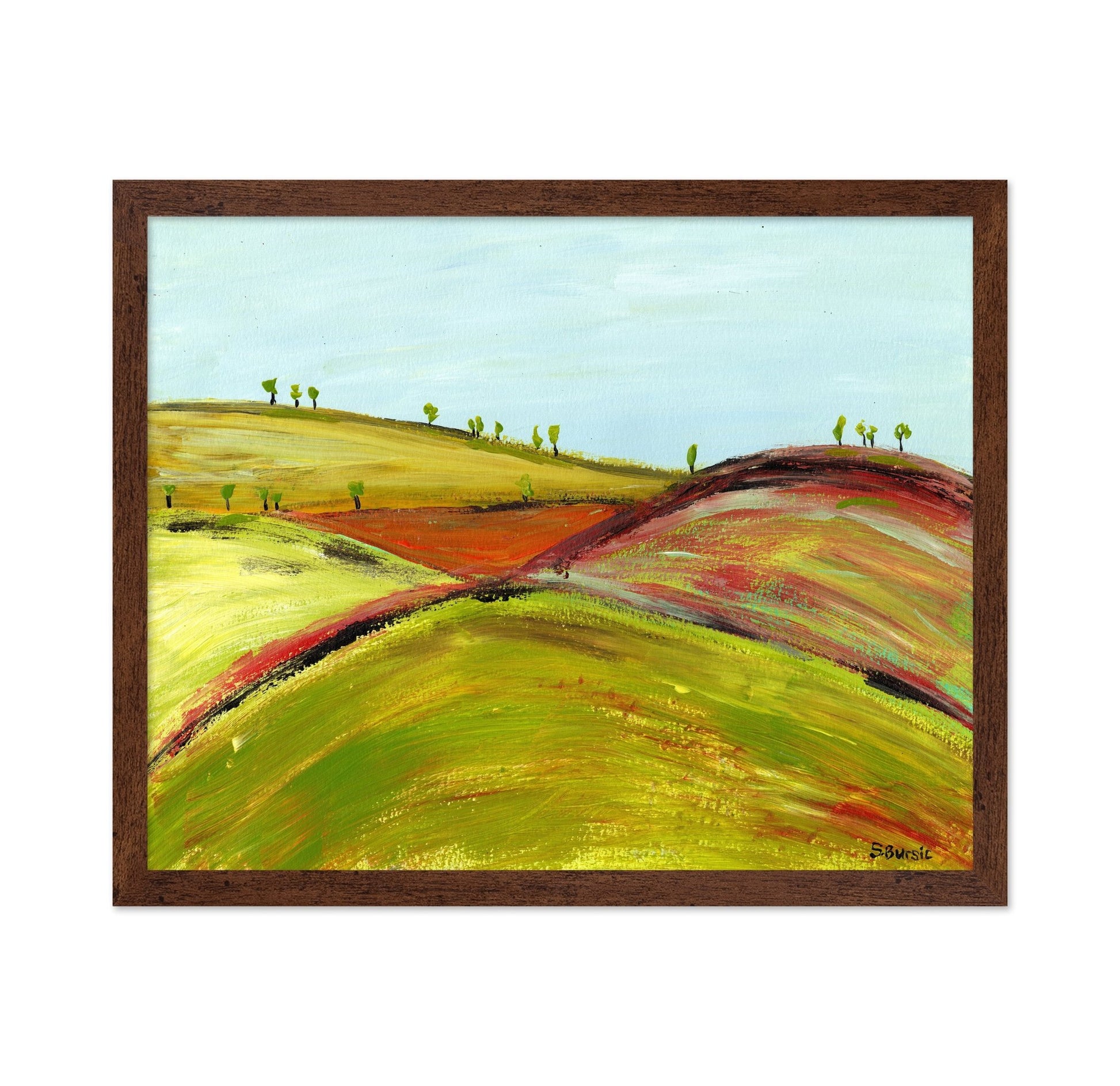 Rolling Color Hills