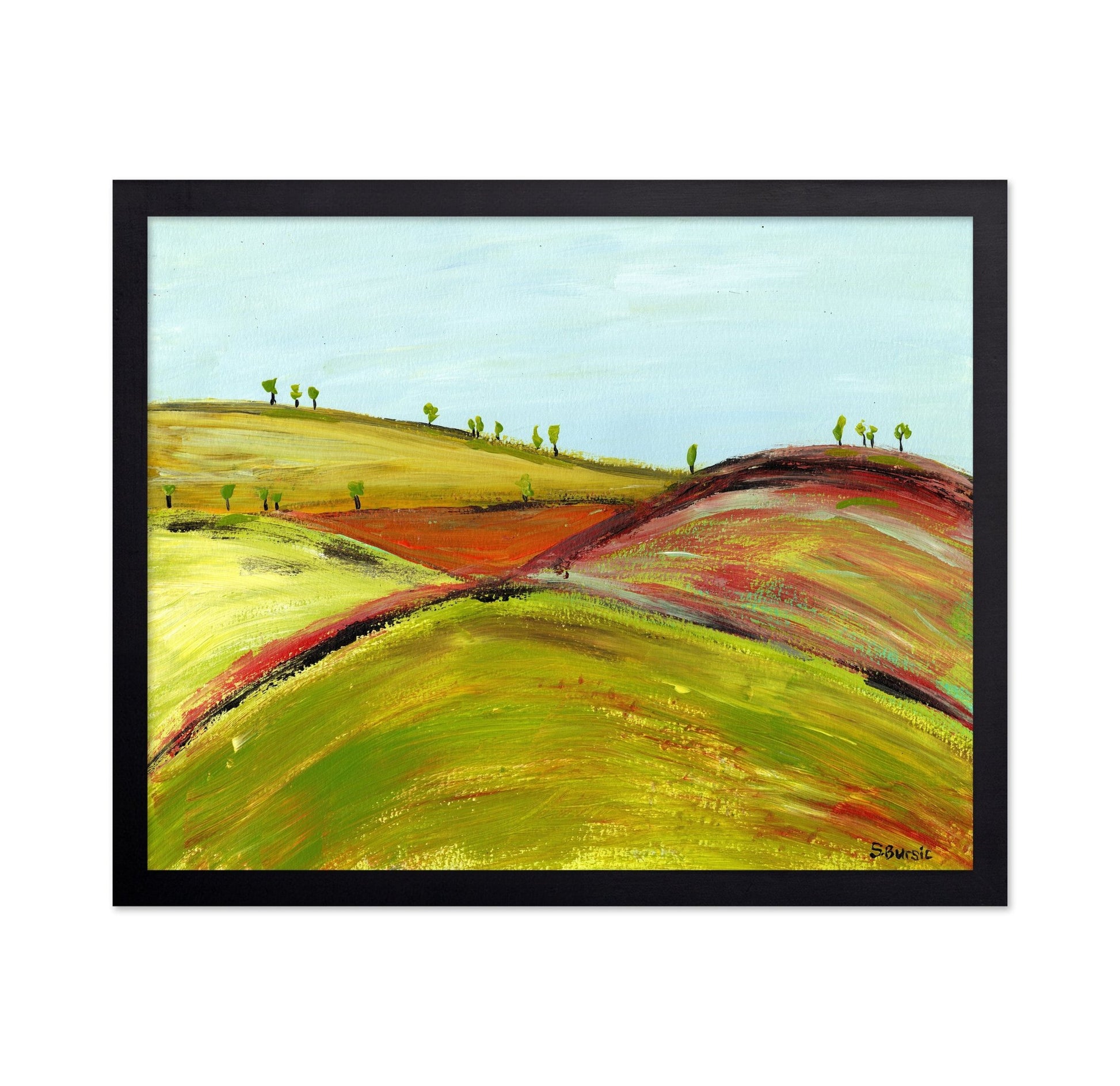 Rolling Color Hills