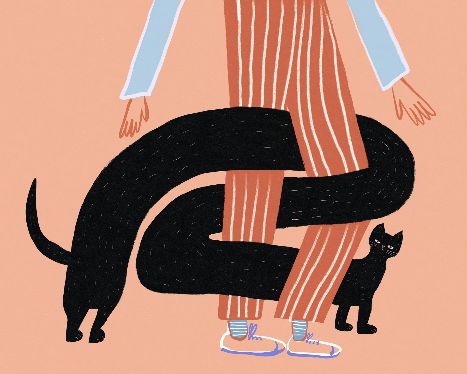 Black Cat Wrap