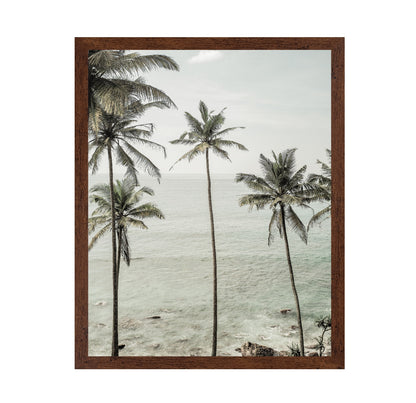 Coastal Palm View