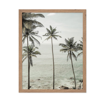 Coastal Palm View