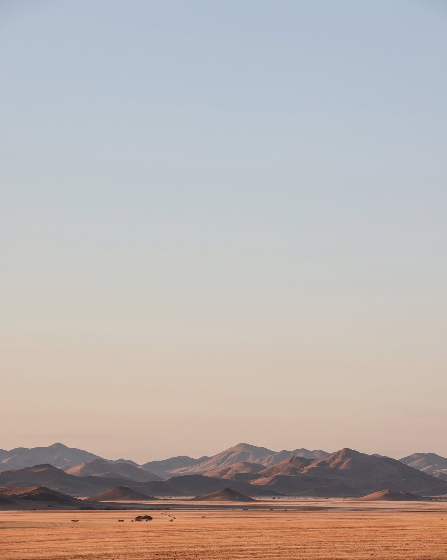 Desert Horizon Calm