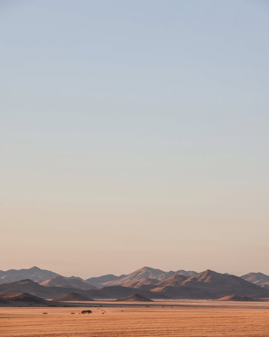 Desert Horizon Calm