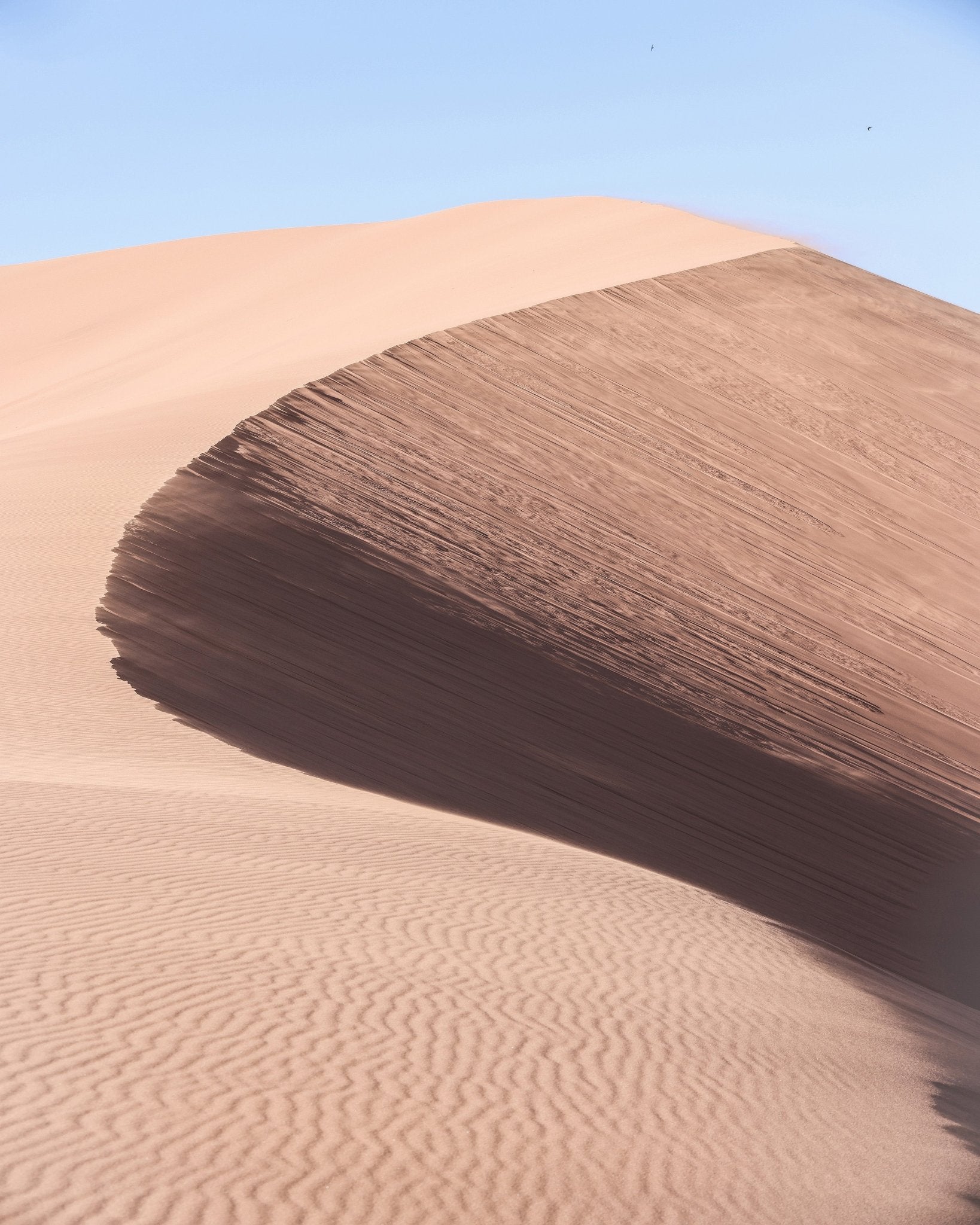 Desert Curve Dune