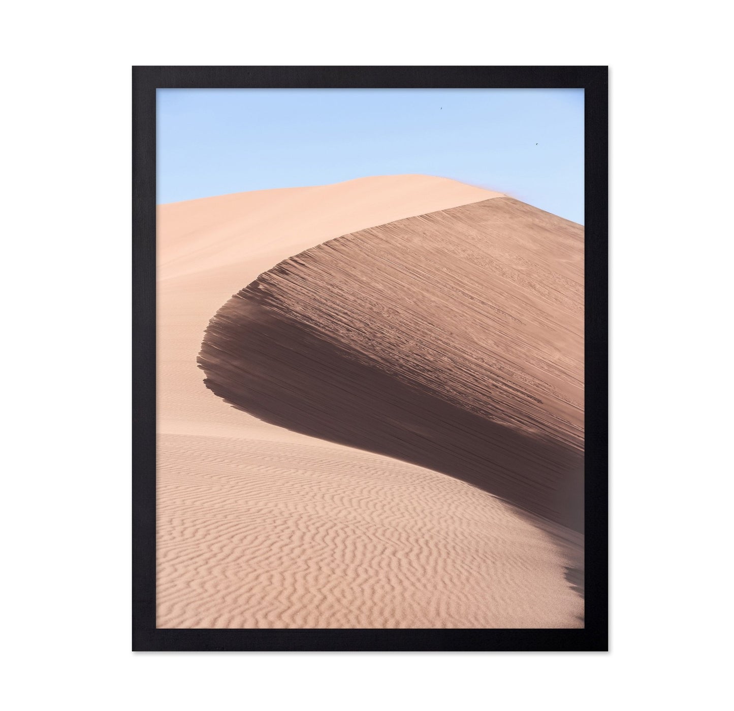 Desert Curve Dune