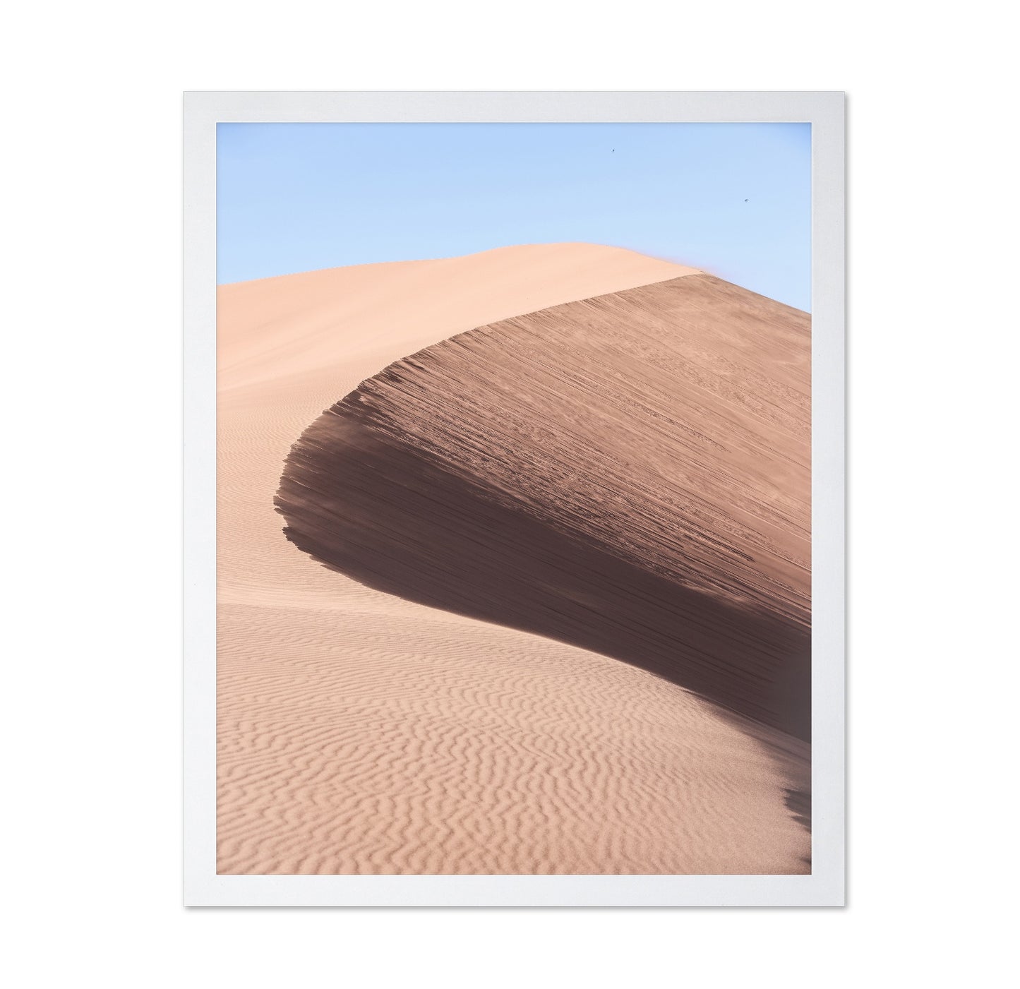 Desert Curve Dune