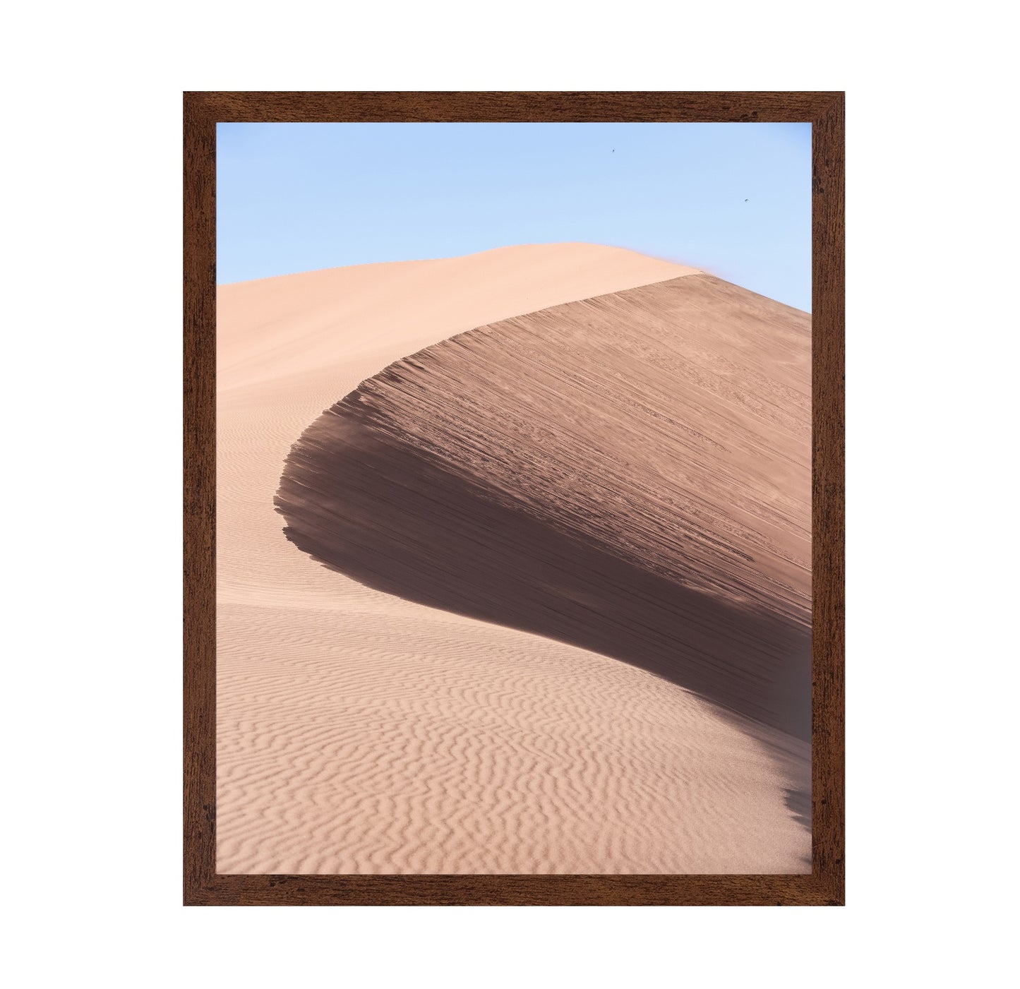 Desert Curve Dune