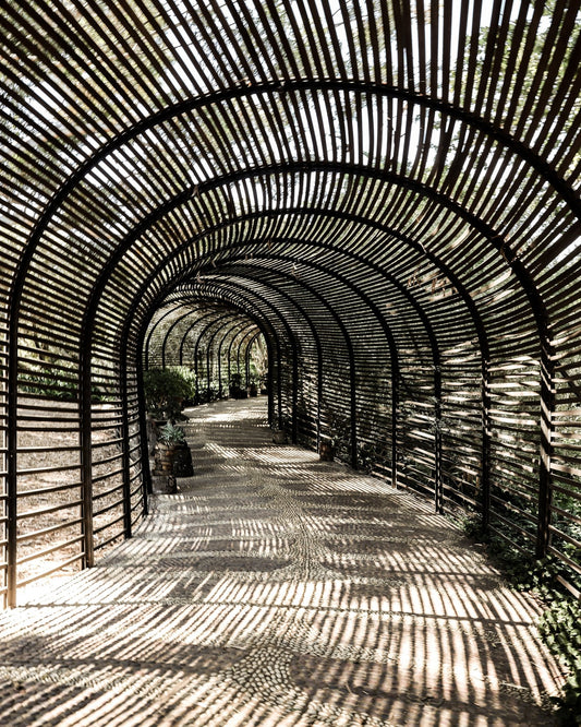 Shadow Tunnel Walk