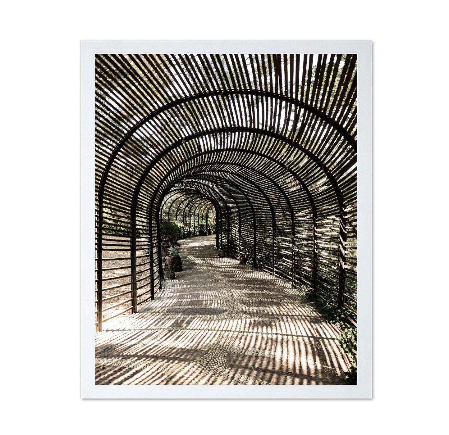 Shadow Tunnel Walk