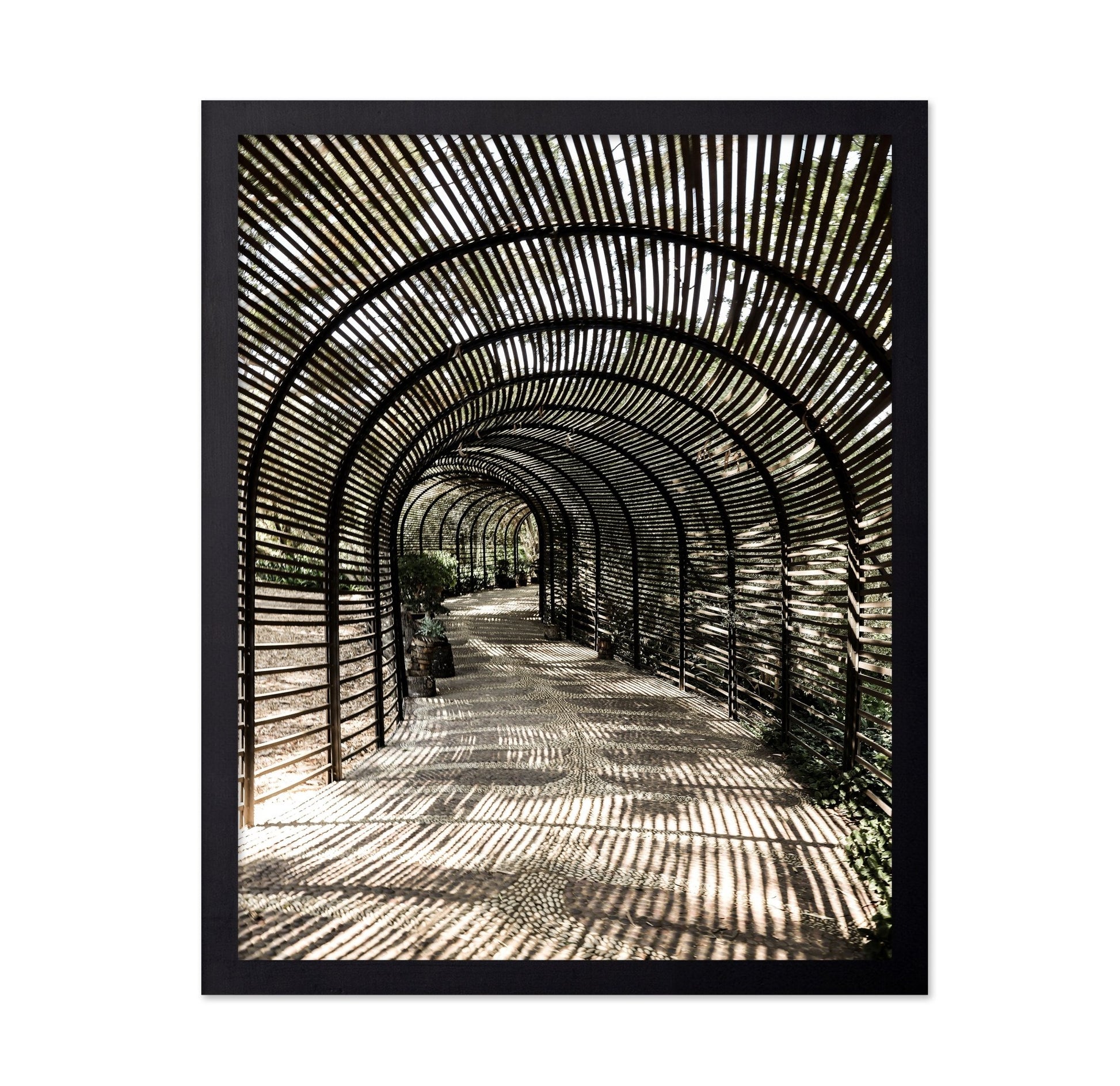 Shadow Tunnel Walk